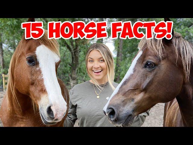 15 Interesting Horse Facts You Probably Never Knew! *TESTED*