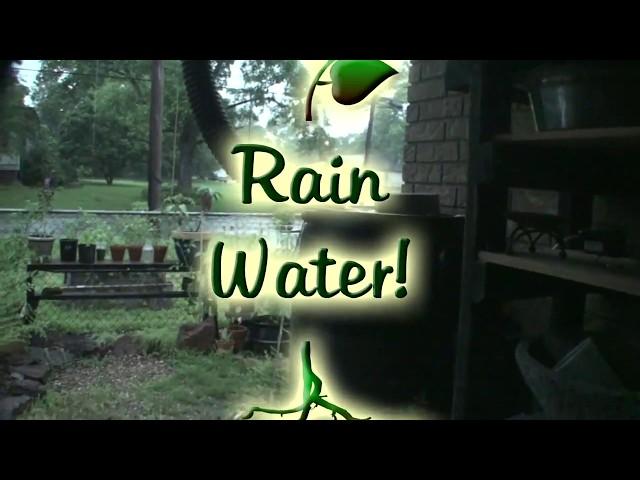 2 Experiments and Rainwater