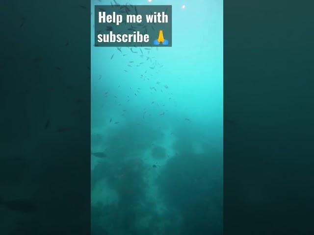 Underwater shower | #viral #shorts #short #shortvideo #girl #bikini #hot #sexy #sexygirl |