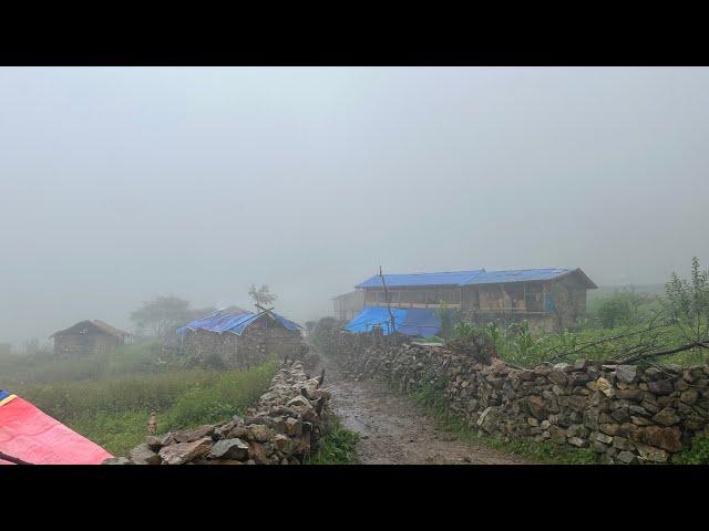 Best Nepal Mountain Village Life | Himalayan village life in rainy Day । VillageLifeNepal