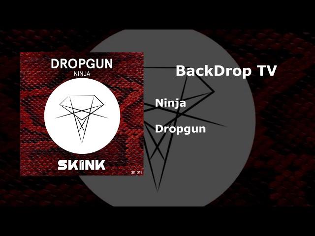 Skink Records (Best Drops)