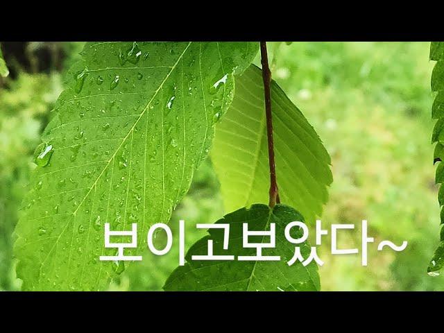 늦었다고 생각할 때가 빠르다~