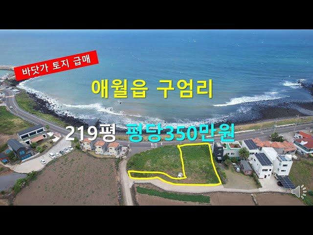 [ 급매 ]   제주 해안2차선도로에 접한 ｜바닷가토지 ｜애월읍 구엄리 219평 평당350만원  010-3318-5088