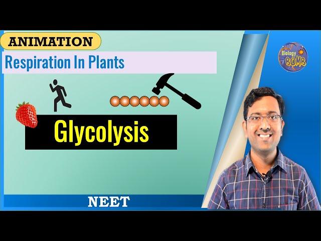 Glycolysis I NEET I Dr Kunal Tatte (KT)