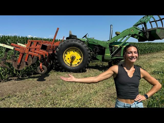 59 Year Old Tractor | Growing Sweet Corn For CHEAP