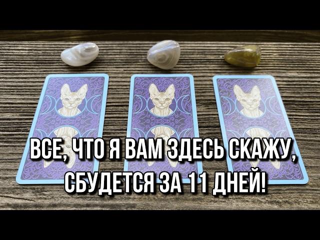 Все, что я вам здесь скажу, сбудется за 11 дней!  гадание на таро Tarot Reading