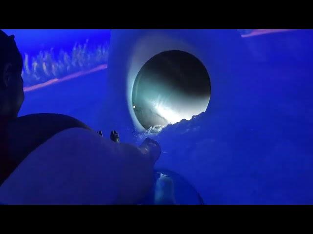 Tassie's Underwater Twist - POV - New at Aquatica Orlando 2024