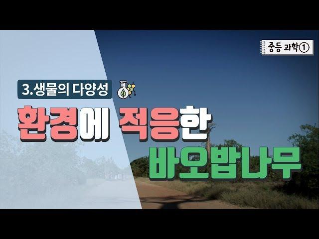 [중등 과학 1] 3. 생물의 다양성 - 환경에 적응한 바오밥나무