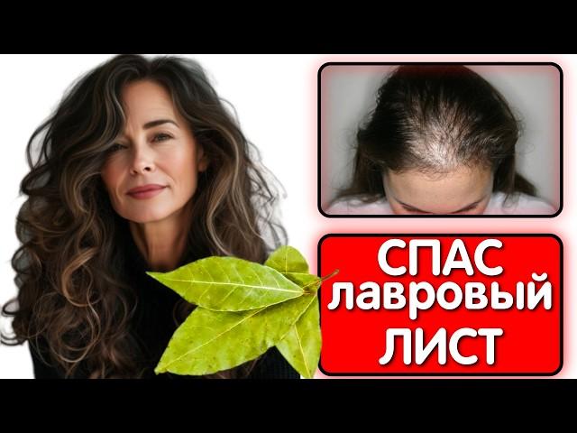 ПРОСТО ЛАВРОВЫЙ ЛИСТ СПАС МОИ ВОЛОСЫ от ОБЛЫСЕНИЯ ! Волосы растут как сумасшедшие и стали гуще...