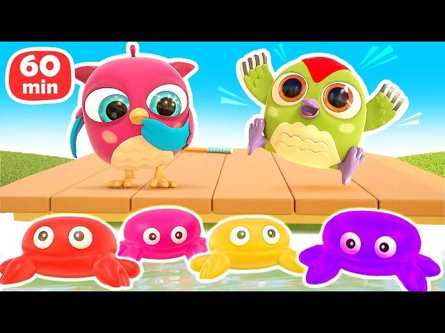 Baby cartoons & baby videos - Hop Hop the owl full episodes cartoons for kids - Toys and colors