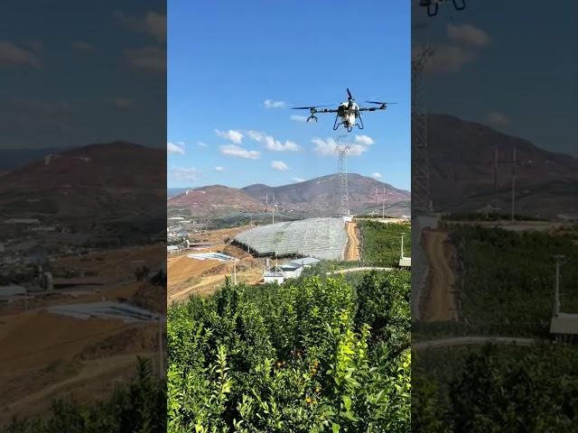 Advanced Terrain-Following Performance | Slope & Hill Adaptation Demo