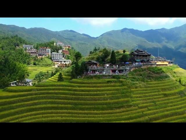 Longji Rice Terraces.Guilin