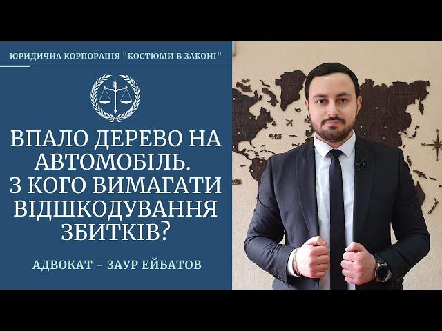 Впало дерево на автомобіль. Відшкодування збитків.