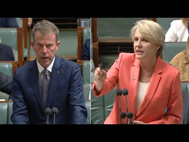 Question Time descends into chaos as Tanya Plibersek trades barbs with the Opposition