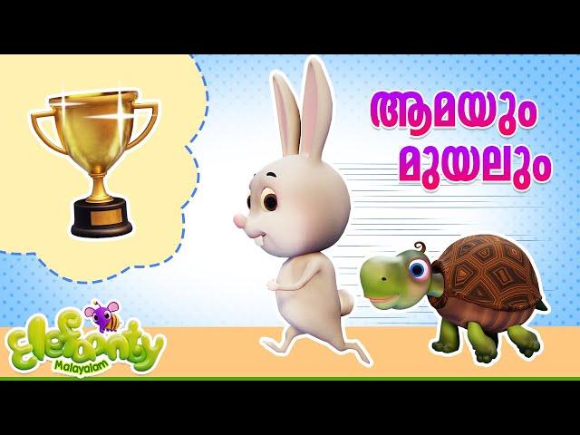 ആമയും മുയലും l Aamayum Muyalum -Tortoise & Rabbit | Malayalam Animation video l Elefaanty Malayalam