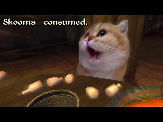 "Stop Right There, Criminal Skoom!"