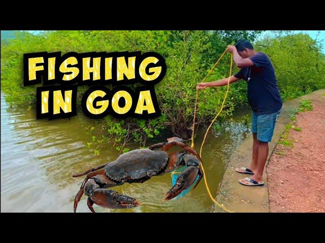 Fishing in Goa | Crabs fishing in goa | Rainy season crabs fishing in goa | Goa fishing videos