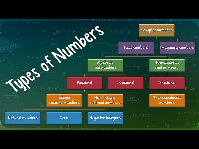 Types of Numbers