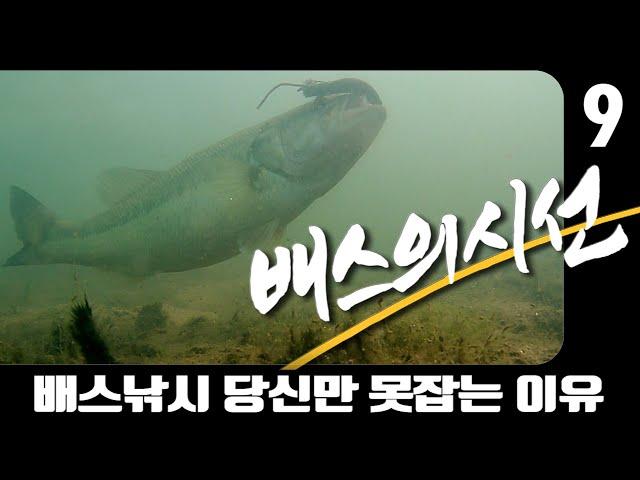 배스낚시!  당신이 배스를 잡지 못하는 이유  배스의 시선 9탄  배스의숨결