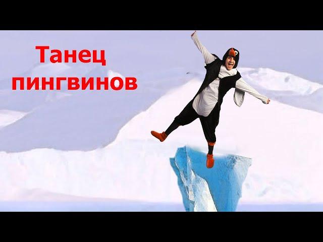 Танец пингвинов | Детские песни | Танцы для детей