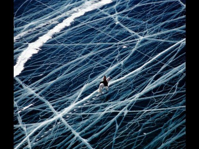 Трансляция Российского Нового Университета