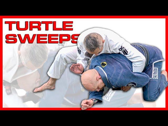 Turtle Guard Sweeps and Reversals in BJJ: Techniques, Strategies, and Points