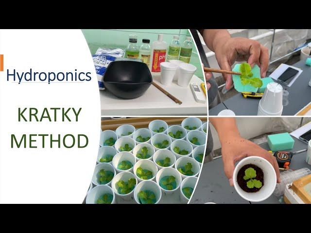 HYDROPONICS - KRATKY METHOD using Nutrihydro, SNAP Solution and Masterblend | Nars Adriano