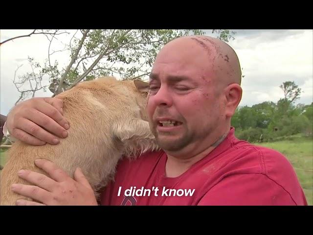 Dogs Meet Owners After Tornadoes