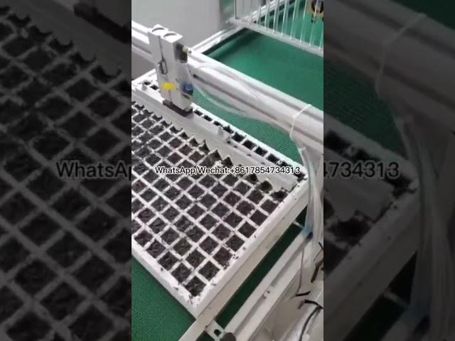 Foam Seedling Trays, Seeders #machine #tractor #sowing #agriculture #seeder #automatic