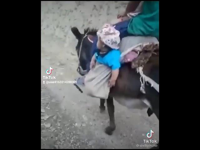 Кечки сайр