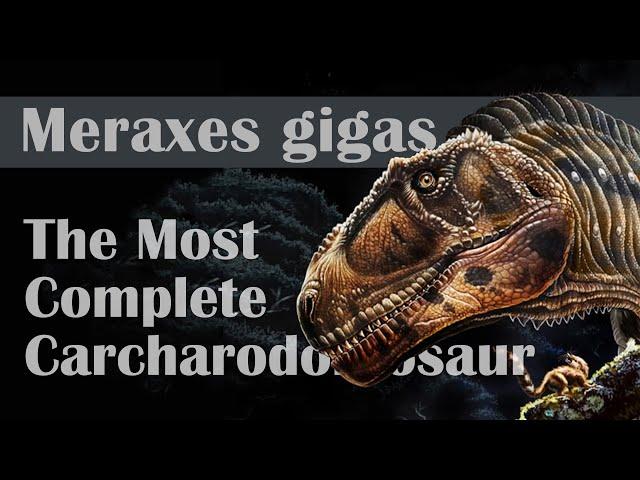 Meraxes gigas, The Most Complete Carcharodontosaur