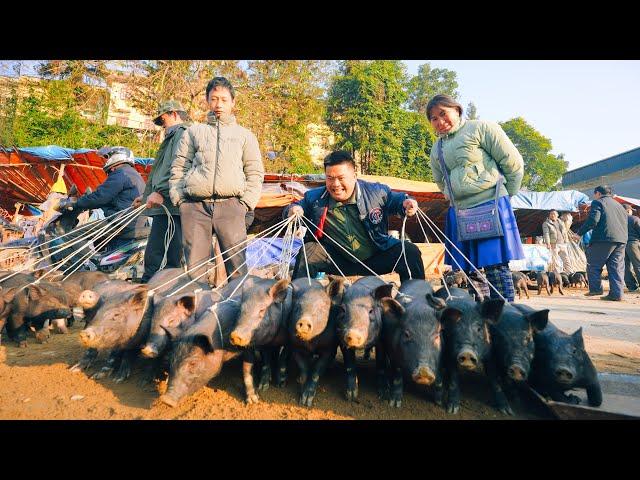 ULTIMATE NORTHWEST VIETNAM MARKET FOOD - Black Pork Salad, Spicy Stir-Fry & Tofu Delights! | SAPA TV