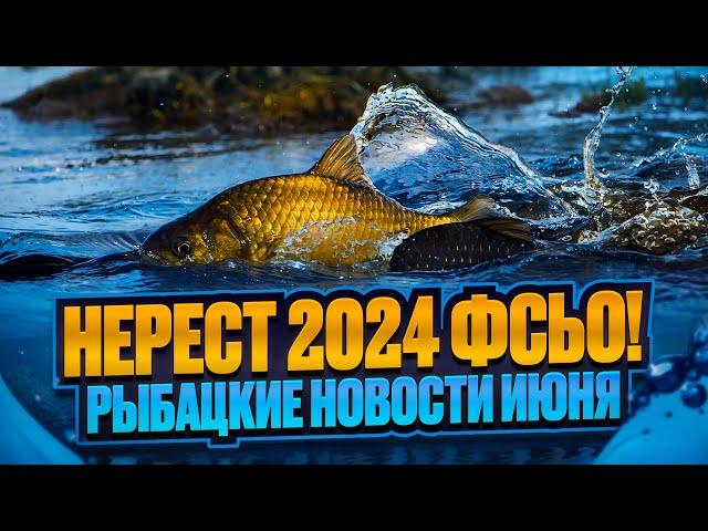 НЕРЕСТ 2024 ФСЬО! РЫБАЦКИЕ НОВОСТИ ИЮНЯ