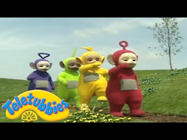 Teletubbies | A Big Day Out With The Teletubbies | Shows for Kids