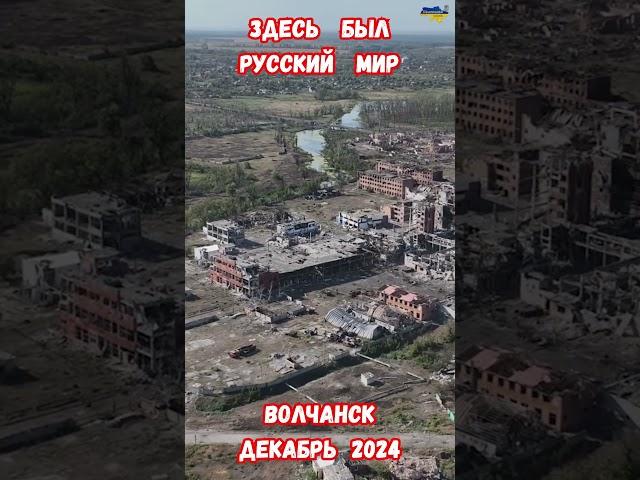 Здесь был русский мир Волчанск Декабрь 2024 #историявойны #историярф #приколы #армиярф #армияроссии