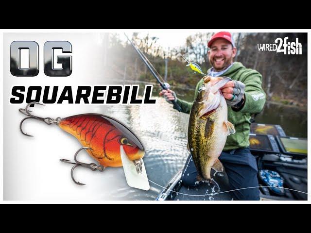 Squarebill Crankbait Year-round Success with Ott DeFoe