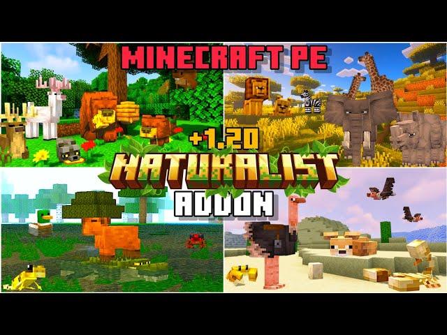 NATURALIST ADDON for BEDROCK | MINECRAFT PE (Full showcase) +1.20 #addons