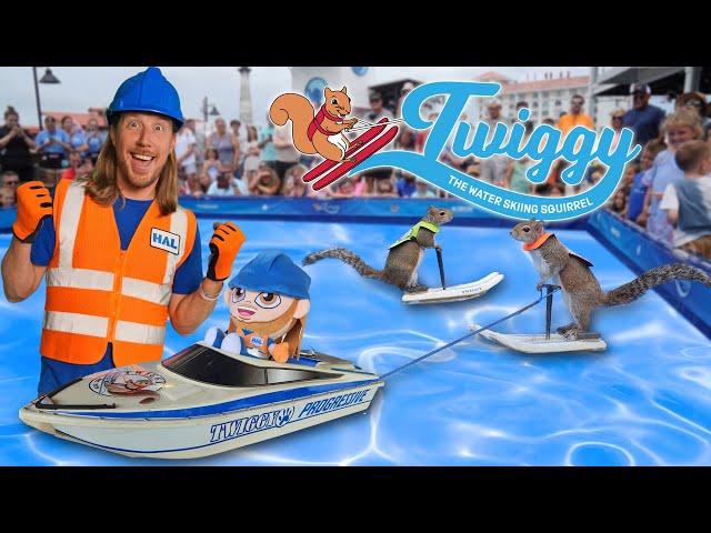 Awesome Animals | Handyman Hal meets Twiggy the Water Skiing Squirrel @Twiggysinc