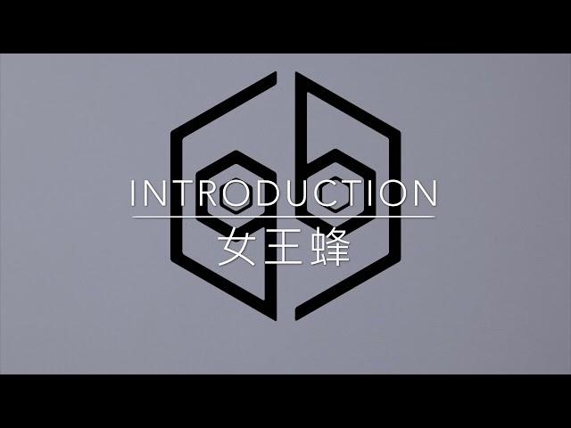 女王蜂Queen Bee - 『Introduction』