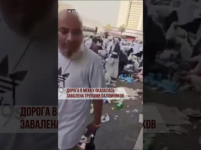 ДОРОГА В МЕККУ ОКАЗАЛАСЬ ЗАВАЛЕНА ТРУПАМИ ПАЛОМНИКОВ