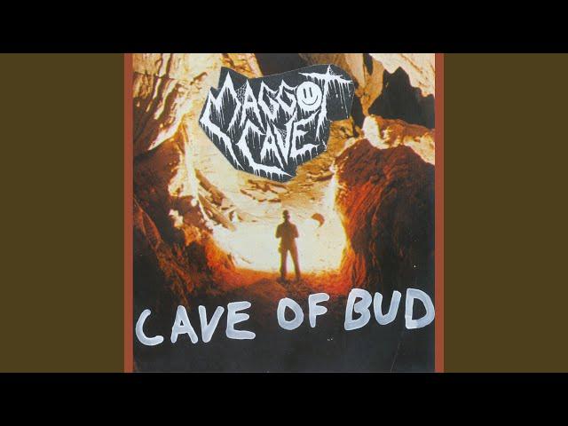 Cave of Bud