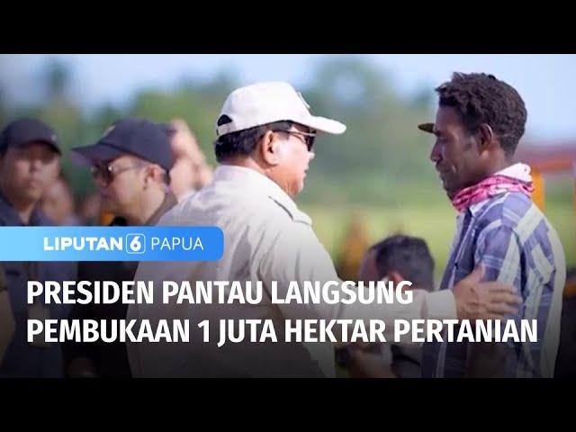 Presiden Pantau Langsung Pembukaan Lahan Pertanian Seluas 1 Juta Hektar | Liputan 6 Papua