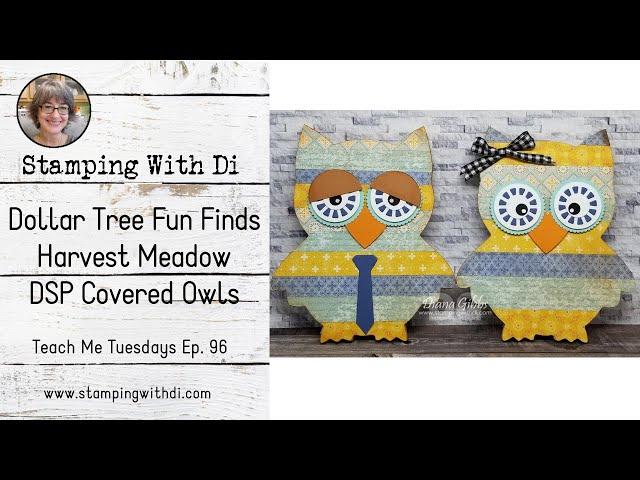 Dollar Tree Fun Finds - Harvest Meadow DSP Covered Owls - Teach Me Tuesdays Ep. 96 | Stampin' Up!