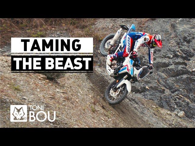 Taming  the Beast by Toni Bou 