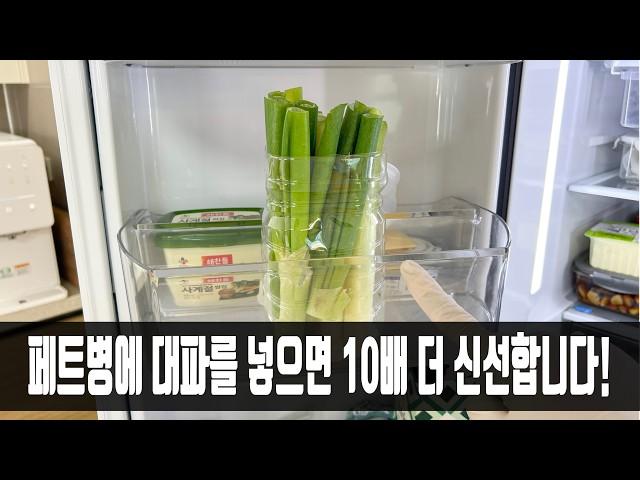 대파 냉장고에 그냥 보관하지마세요! 페트병에 넣었더니 한 달이 지나도 싱싱하네요