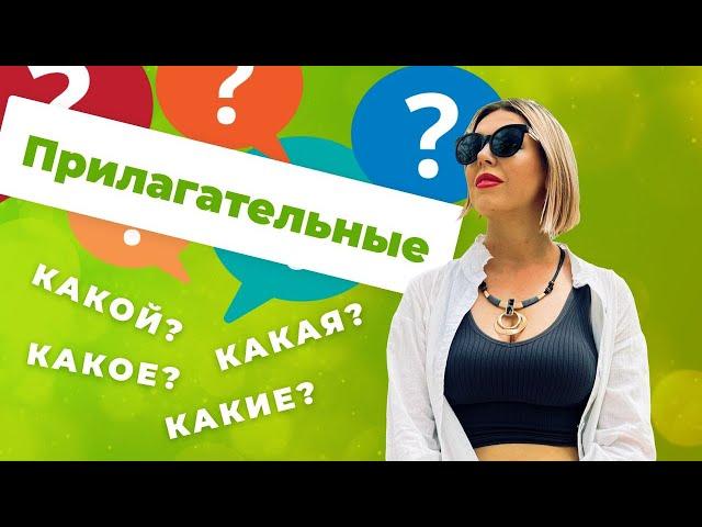 Прилагательные. Какой? Какая? Какое? Какие?