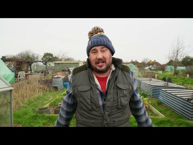 January's allotment to do tasks