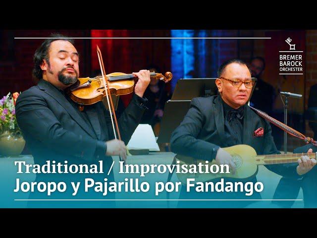 Traditional / Improvisation: Joropo y Pajarillo por Fandango