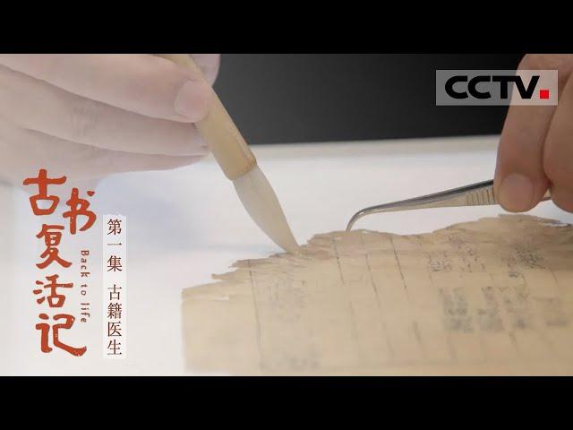 《古书复活记》第一集 给古籍“治病”的医生 都有哪些“独家秘药”？【CCTV纪录】