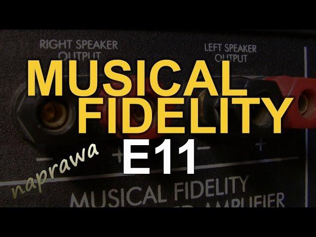 Musical Fidelity E11 [Reduktor Szumu] #141